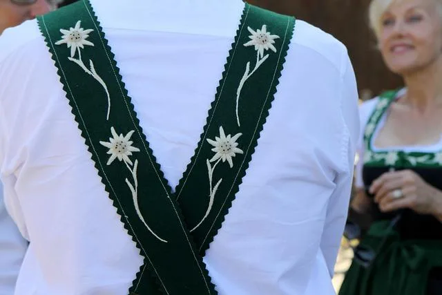 Nejlevnější Rovnátka na Pevno: Kde Je Najít?