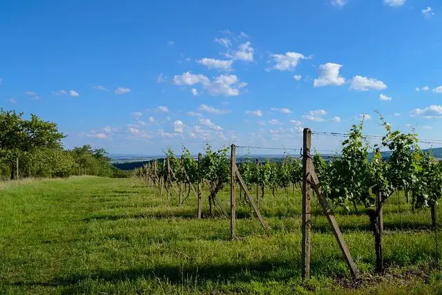 Vinohrady: Zubaři, kteří se specializují na bělení zubů!