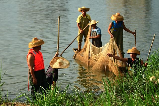 Rady od ‌odborníků na tradiční zubní léčbu