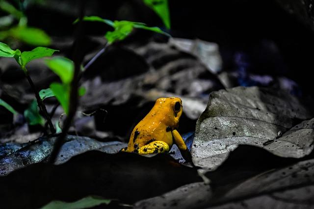 g5c0f85677dc887e3fa4afadf475e5637e5b6898de891a556e0c3856e4e52c9e54da9353f6686d2d1f570ccde2f950271c88af7930973bef1708c7b7d7a91bb08 640