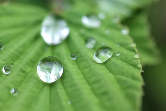 Důležité informace o hojení rany po extrakci zubu